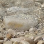 クリヤー塗装 ~サイディングの塗り替え④~