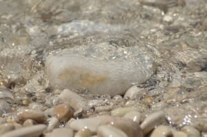 クリヤー塗装　～サイディングの塗り替え④～