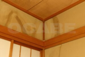 雨漏りの原因は本当に外壁? ― 誤解されやすいポイントと実際の原因