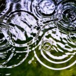 １階の部屋の真ん中で雨漏り！？屋根に異常がないのに漏れた原因とは