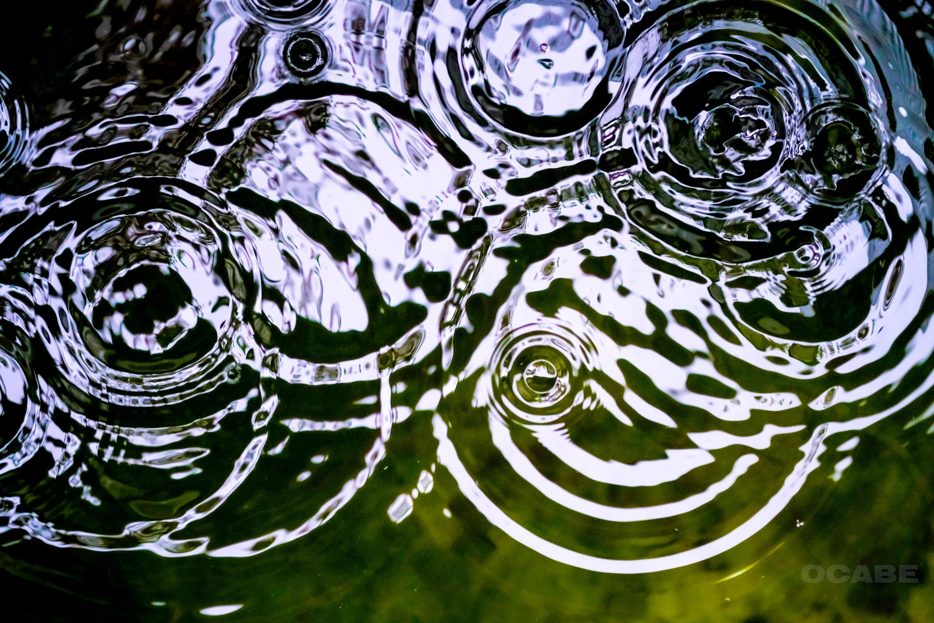 １階の部屋の真ん中で雨漏り！？屋根に異常がないのに漏れた原因とは